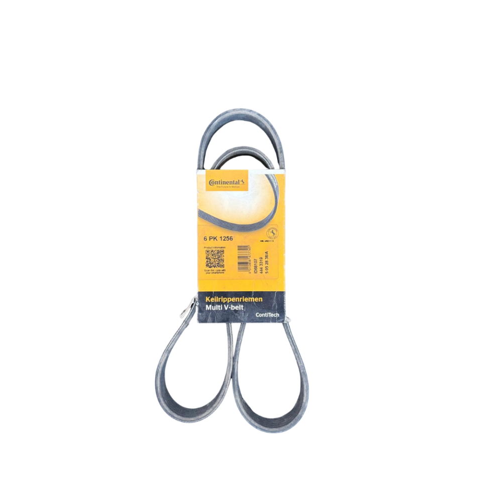 6PK 1256 CONTİNENTAL V KAYIŞI